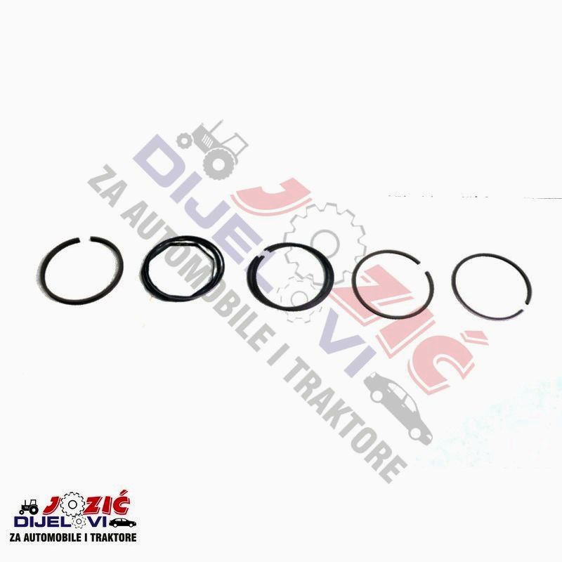 Daisy on the Ohoopee